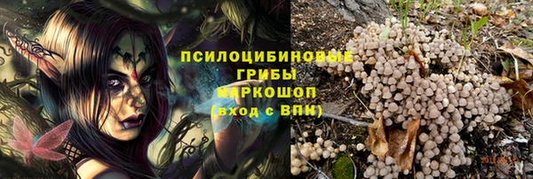 бошки Алексеевка