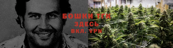 бошки Алексеевка