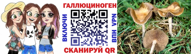 Галлюциногенные грибы мицелий  дарк нет клад  Невьянск 